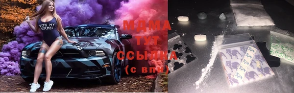 индика Алзамай