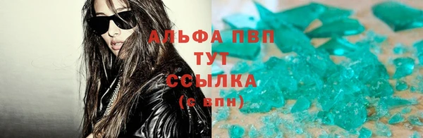 индика Алзамай