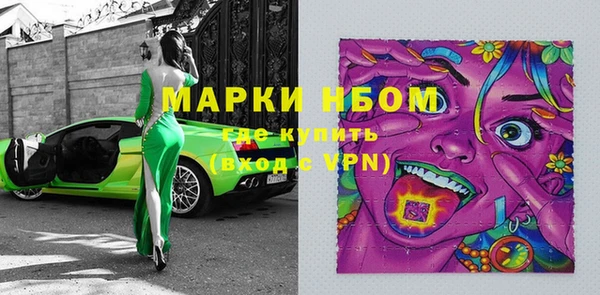 индика Алзамай