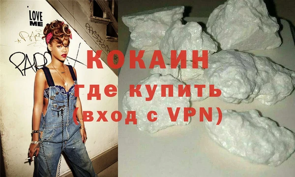индика Алзамай