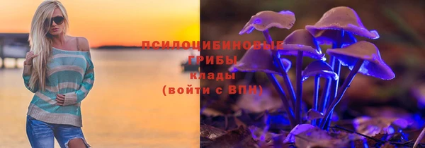 мескалин Алексин