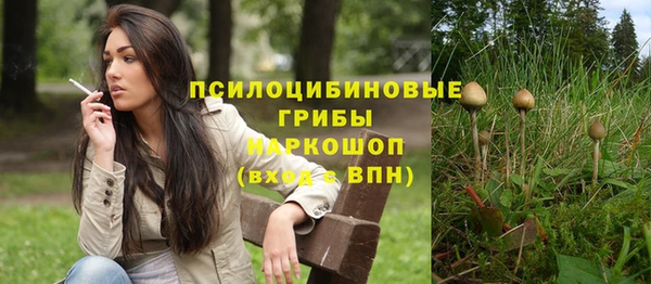 СК Алексеевка