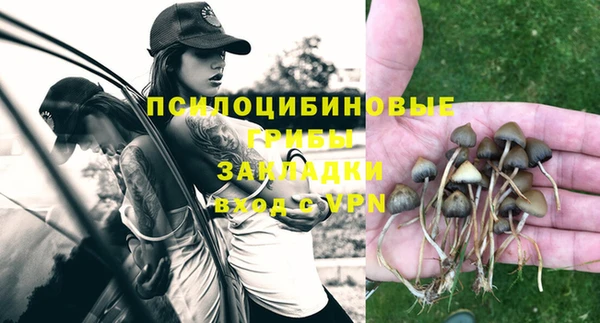 СК Алексеевка