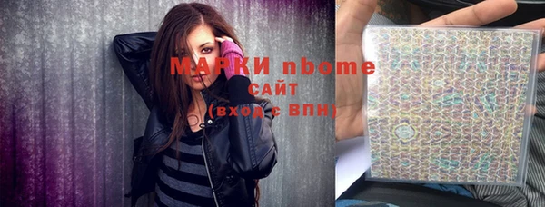 индика Алзамай