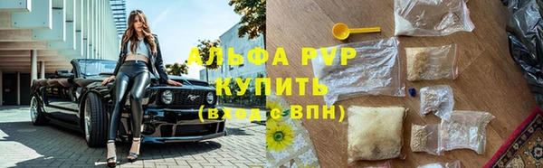 СК Алексеевка