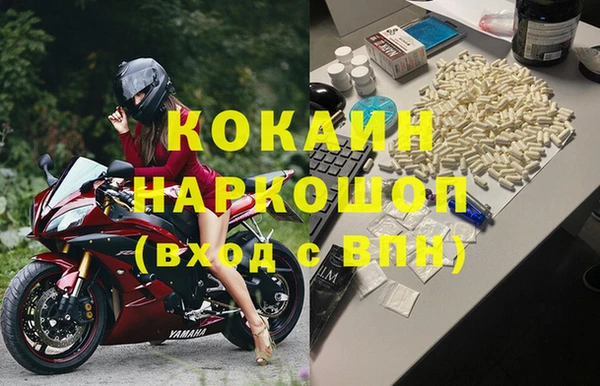 индика Алзамай