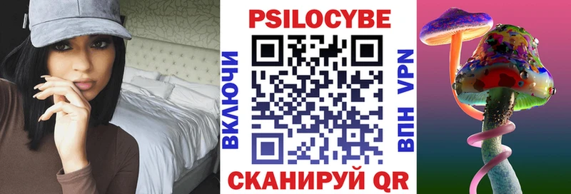 Галлюциногенные грибы Psilocybe  Кириши 